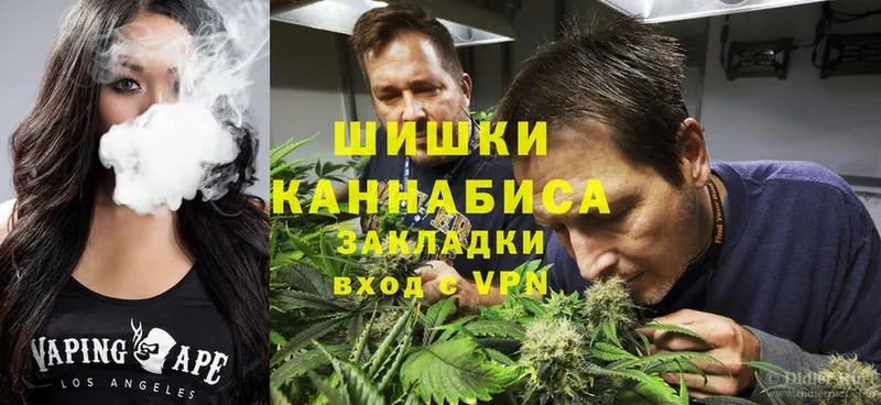 Канабис SATIVA & INDICA  Куровское 